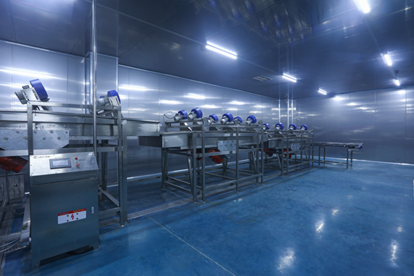 食品廠房凈化車間 從布局規劃、建設到維保的全方位指南